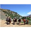 Image 4 : Summer Horse Pack for 2 in the Jarbidge Wilderness