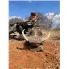 Image 12 : Thaba Tala - Limpopo Valley, South Africa Hunt for 2