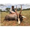Image 4 : 2 Person Hunt with Russ Fields Safaris