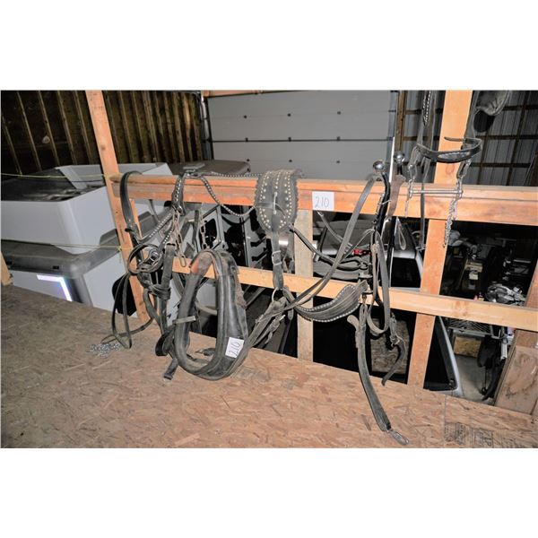 Show Harness - Leather