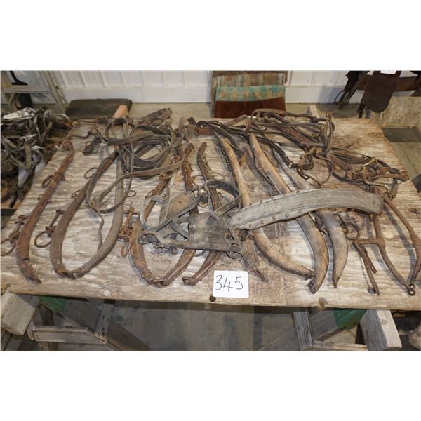 Misc Hames, Bits, Harness Parts (White is Talc Powder)