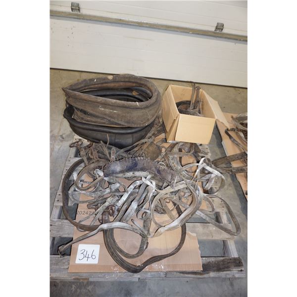 Misc Collars, Driving Harness Parts (White is Talc Powder)