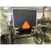Image 4 : Amish Carriage loaded with lights, mirrors and windshield wipers. The windows open