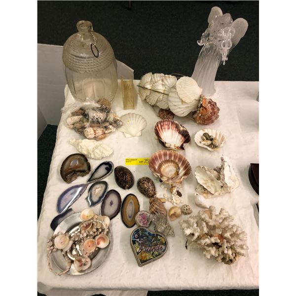 Group of Misc. Glass, Shells, Coral, Rocks & Curio Containers