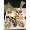 Image 1 : Group of Misc. Glass, Shells, Coral, Rocks & Curio Containers