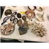 Image 2 : Group of Misc. Glass, Shells, Coral, Rocks & Curio Containers