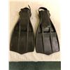 Image 1 : Pair of Scuba Fins