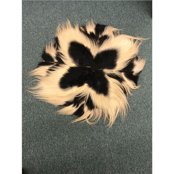 Skunk or Polecat Hide - 34in long