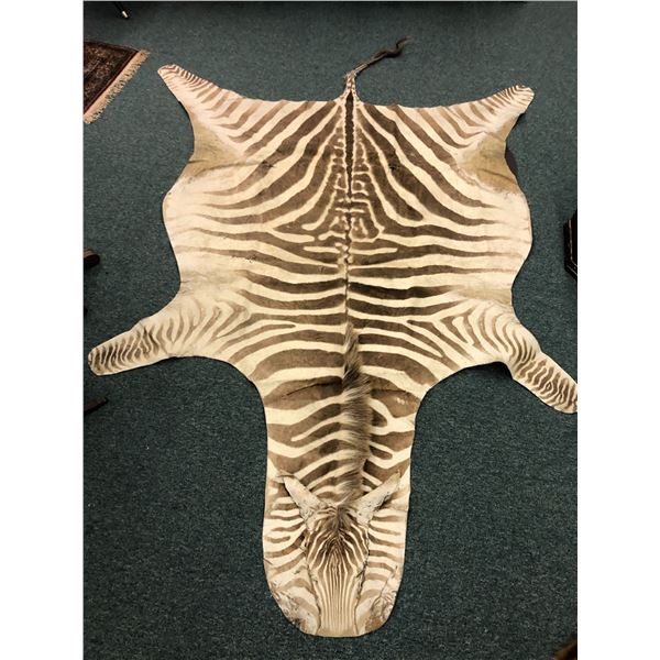 Zebra Hide - 108in Long
