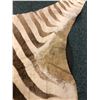 Image 4 : Zebra Hide - 108in Long