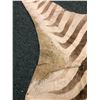 Image 5 : Zebra Hide - 108in Long
