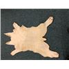 Image 2 : Animal Hide - Cow - approx. 54in x 39in