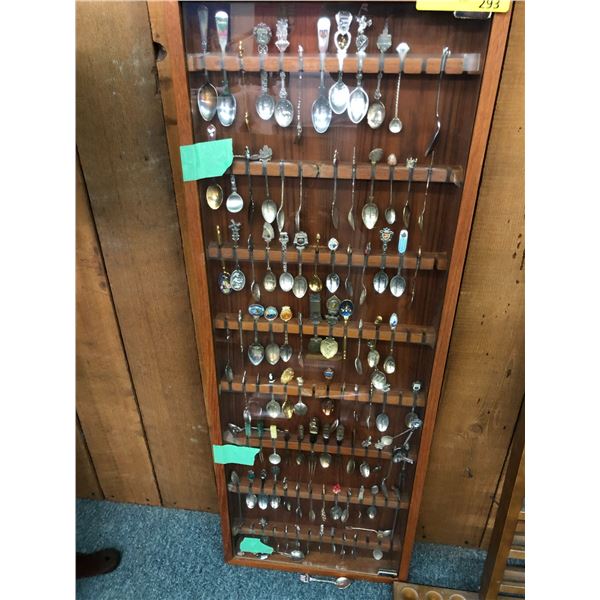Large Shadow Box Collection of Collectible Spoons in wood box - approx. 16in x 44in - approx. 124 sp