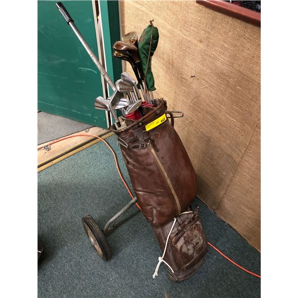 Antique Golf Clubs with Caddy