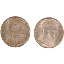 1903 Nfld 5¢ ICCS MS64, superb example. Fully brilliant and lustrous.  In top 5 cencus.