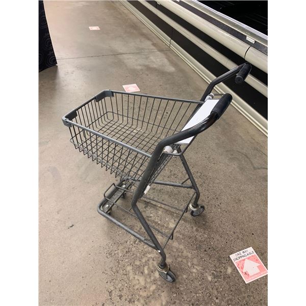 Medium Size 2 handle Shopping Cart