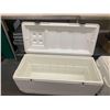 Image 2 : Igloo large White Chest cooler