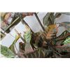 Image 2 : Decorative Artificial Plant - Approx. 5' tall - has a couple broken branches