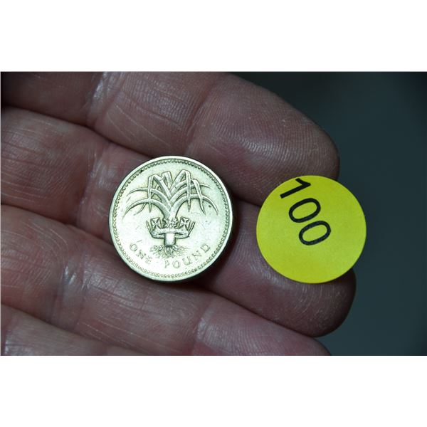 1 pound sterling (leek coin)