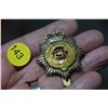 Image 1 : Canadian army services cap badge