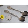 Image 1 : Canada booch & spoons