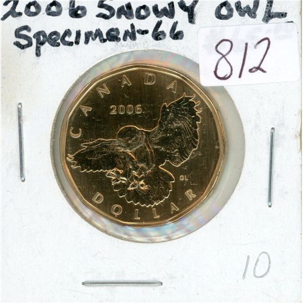 2006 Snowy Owl Loonie. Only available in Specimen sets. SP-66. Nice.