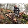 Image 2 : The Iberian Hunting Experience - Hunt and Tour Spain