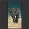 Image 1 : **ELEPHANT GICLEE**NOT FOR ONLINE BIDDING