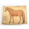 Image 6 : Chinese 18 Horses Litho Booklet Signed