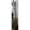 Image 1 : 12-22FT EXTENSION LADDER