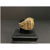 Image 2 : TORONTO RAPTORS 2019 NBA WORLD FINALS CHAMPIONSHIP REPLICA RING "LOWRY"