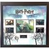 Image 1 : Signed and Framed Lord Voldemort Collage