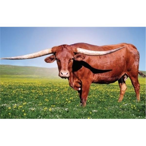 SUNHAVENQUIGLEYFISTFULL