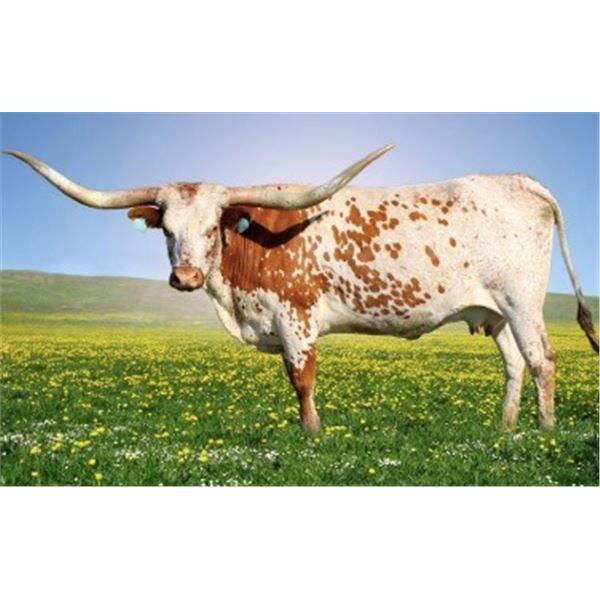 RRR FELIZ NAVIDAD 388