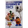 Image 1 : Autograph Toy Story 3 Tim Allen Poster