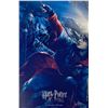 Autograph Signed Harry Potter Goblet of Fire Photo