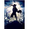 Image 1 : Chadwick Boseman Autograph Signed Black Panther Photo