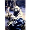 Image 1 : Autograph Signed Star Wars Frank Oz Photo