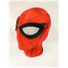 Image 1 : Spiderman Tobey Maguire  Autograph Signed Mask