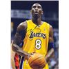 Image 1 : Kobe Bryant  Autograph Signed Photo