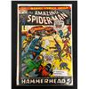 Image 1 : THE AMAZING SPIDER-MAN NO.114 (MARVEL COMICS)