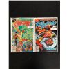 Image 1 : FIRESTORM NO.5/ RED TORNADO NO.2 (DC COMICS)