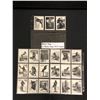 Image 1 : BETTY PAGE IN BLACK LACE COLLECTOR CARDS (MINT CONDITION)
