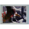 Image 1 : Autograph Brave Disney Card