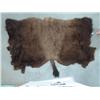 Image 1 : Painted Buffalo Hide
