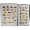 Image 1 : Artifact Collection