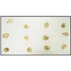 Image 1 : Montana Elk Tooth Collection
