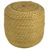 Image 1 : Tohono O'odham Basket