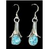 Image 1 : Navajo Earrings