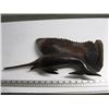 Image 1 : IRONWOOD MARLIN